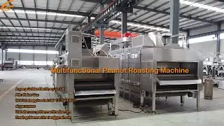 Peanut Roaster Machine for Sale｜Gas Heated Nut Roasting Equipment｜ Almond Nut Oven in Factory Price