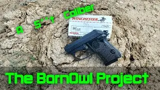 32 ACP Doesn't Suck 2: Meaty Penetration