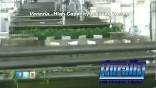 High Capacity Blowing Washer Mod. Venezia (Spinach)  by Turatti