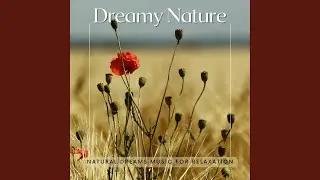 Natural Dreams Music for Relaxation