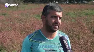 Erməni terrorunun növbəti ünvanı - Bərdənin Qarayusifli kəndi