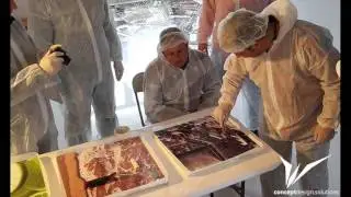 BEST PICTURE - Pardoseli epoxidice 3d - 3d floor art for celebrity homes | Pardoseli epoxidice 3d30
