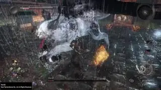 仁王　白虎