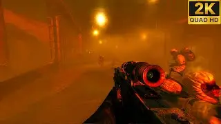 Black Ops 1: Rebirth | No Damage Canon Run | Cinematic Realism Gameplay (2K 60FPS No HUD)