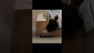 Insane Bathroom Floor Transformation #renovation #trade #building #short