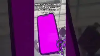 iPhone 13 Pro Max pink screen #caribbean #iphone