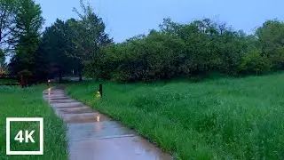 Walking in the Rain - Nature Walk, Rain Sounds in Denver, Colorado, Rain Ambience | 4k ASMR