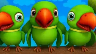 Main Tota Main Tota | Budgie Birds Chirping Sounds | मिट्ठू मिट्ठू 🦜 #parrot #trending #viralvideo