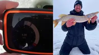 Обзор подледной рыбалки и Deeper Chirp+!