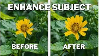How to Enhance Subject in Photos | Google Photo Magic Editor