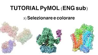 Tutorial PyMOL: Selezionare e colorare la molecola (ENG sub)