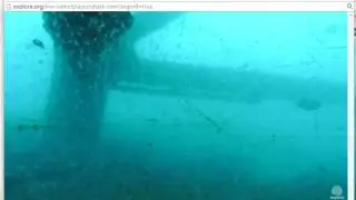 Frying Pan Tower - Shark Cam - Camera movement