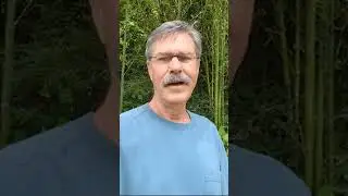 New Book Announcement: The Cellular Wellness Solution