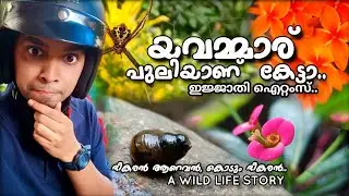 funny story/funny video/animals/spider/malayalam troll/mallu troll/trending troll/comedy malayalam