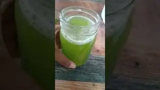 Homemade Chlorophyll Water with Mulberry Leaf & American Nightshade Leaf