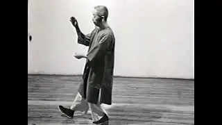 Chen Man Ching 37 MIRRORED and SLOWED to 75%