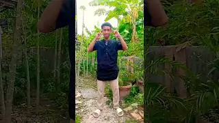 soka soka #shorts #dance #dancechallenge #fyp