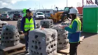 Artificial Reefs - 4 Minutes