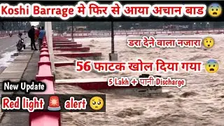 Koshi Barrage का Red Light 🚨 alert कार दिया गया 😨 | अब किया होगा बिहार का 😨 #koshibarrage #news 