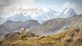 Nature inspires us