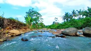 🔴River Sounds for Sleeping in a Quiet Forest | Deep Sleep Environment