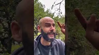 كلاهم ماخلا فيهم والو