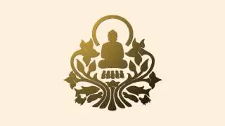 100525 Preparing for Aging, Illness & Death \ \ Thanissaro Bhikkhu \ \ Dhamma Talks