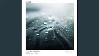 Elastic Medium