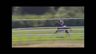 20200816 Kvallopp G&ouml;teborg Galopp