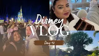 Walt Disney World - Day 12 | Animal Kingdom | The Cake Bake Shop | All Star Movies Resort Tour 
