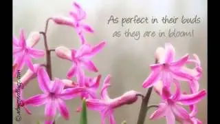 May Day | Wishes | Ecards | Greeting Cards | Messages | Video | 08 03