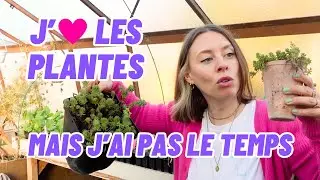 COMMENT CHOISIR MES PLANTES SI J'AI PAS LA MAIN VERTE (ou juste pas le temps) ?