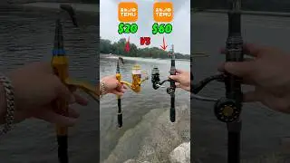$20 vs $60 Temu Fishing Combo!