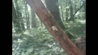 chief noonday trail part two