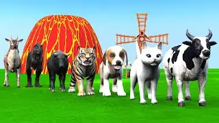 Paint & Animals Dog, Pig, Rabit Buffalo, Lion Fountain Crossing Transformation Animal Cartoon -P1