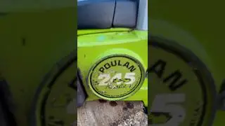 Poulan 245A! She rips! #vintage #poulan #chainsaw #2stroke #firewood