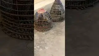 Gray francolin sound #Dese teeter ###Birds Lover ###