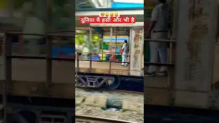 train travel hd video | high speed train in india | #trending #viral #shorts #video #trend #song#jai