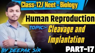 Human Reproduction|Cleavage and Implantation |#class12biology  #biology /#neet2025