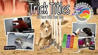 A Guide to Trick Titles With DoMoreWithYourDog - Koa&rsquo;s Ohana