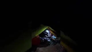 Cooking Cow Heart in Heavy Rain || Solo Tent Camping ASMR