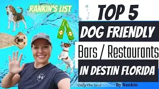 Top 5 Dog Friendly Bars and Restaurants in Destin Florida - Rankin's List