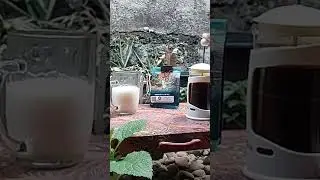 Ngopi di Pagi Hari