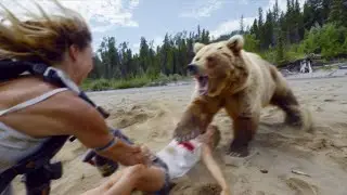 When Bears Attack! 50 Horrifying Encounters Caught On Camera