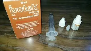 Lovebird Deworming Through Ivermectin 1%.