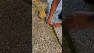 Seam tape hack #flooring #carpet