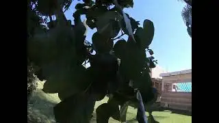 Majagua sobreviviendo a los fr&iacute;os polares 🫡
