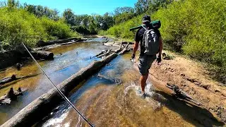 1 Hour of Epic CREEK FISHING!!  33 Fish Caught - 8 Species!!