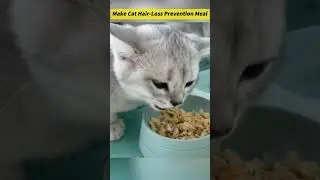 DIY Hair-Loss Rescue Meal for Cats!