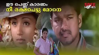 ഈ പെണ്ണ് കാരണം നീ രക്ഷപെട്ടു മോനെ | Gilli Malayalam Dubbed Movie Scene | Vijay | Trisha Krishnan